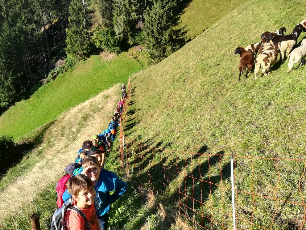 Wandertag