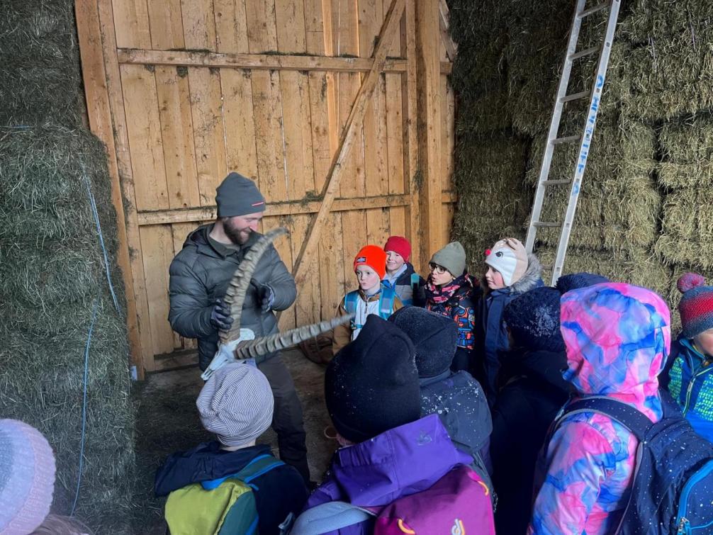 Wildtierfütterung